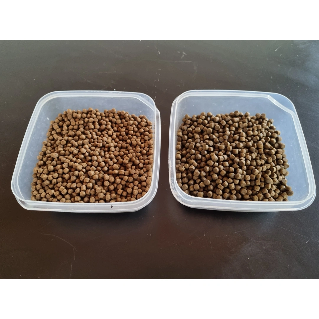 Pokarm dla karpi koi